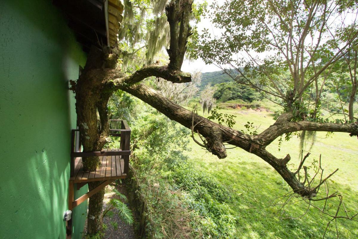 Pousada Na Mata Florianopolis Ngoại thất bức ảnh
